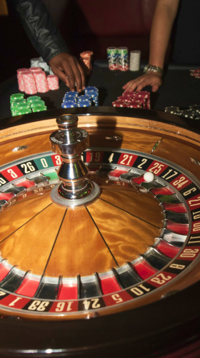 Majestic pride experience